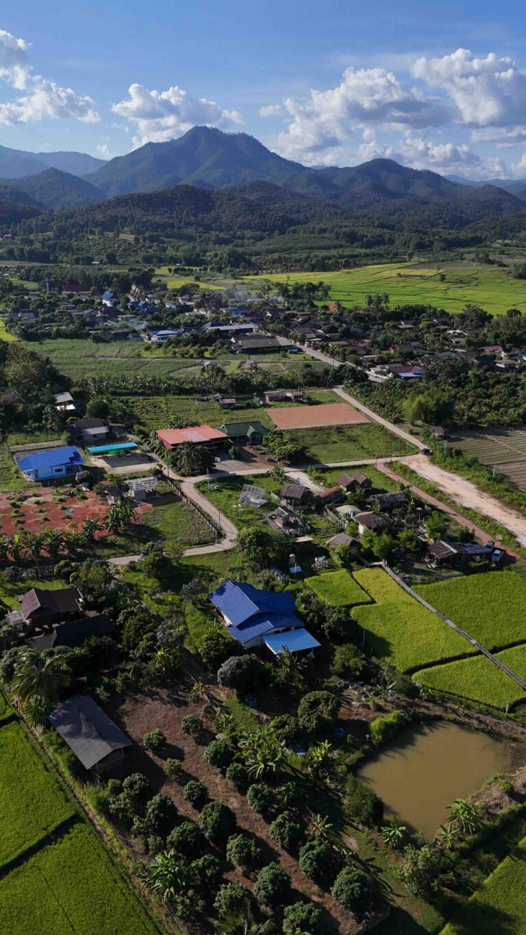 Discover the breathtaking scenery of Chiang Dao, where lush farmland meets majestic mountains, creating a stunning landscape!