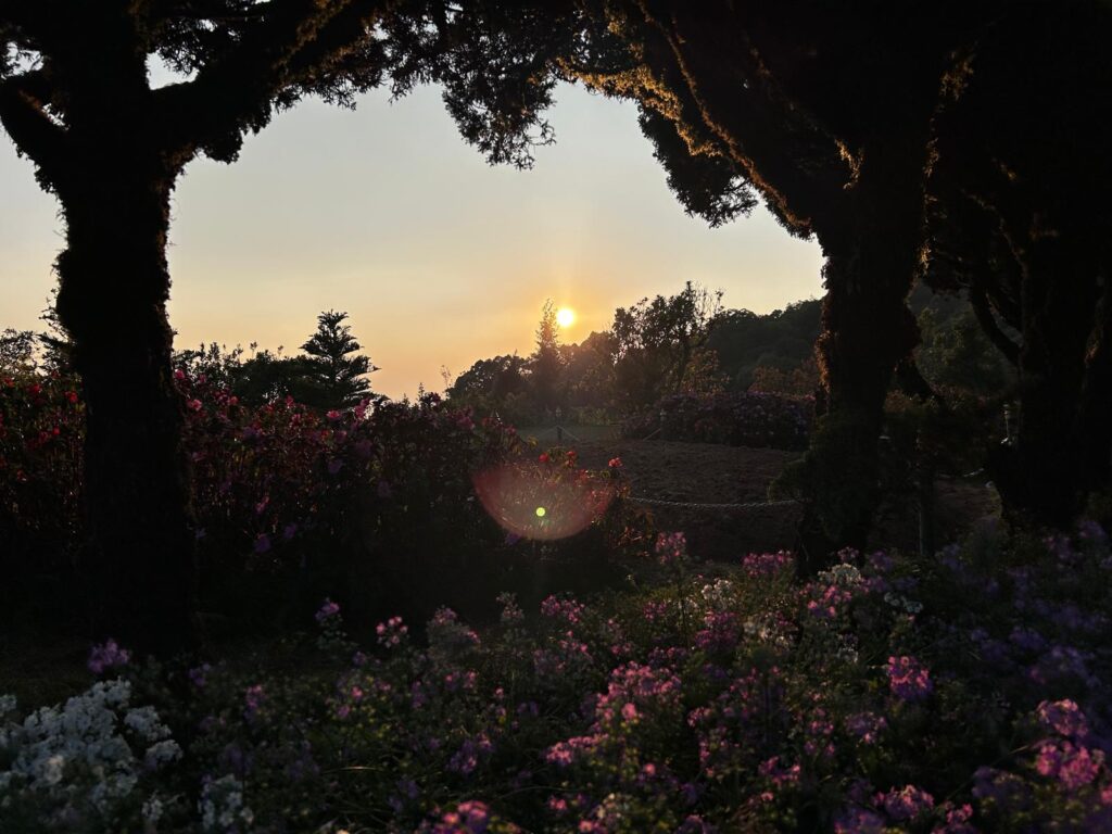 Beautiful garden at the Twin Pagodas suring Sunset at Doi Inthanon