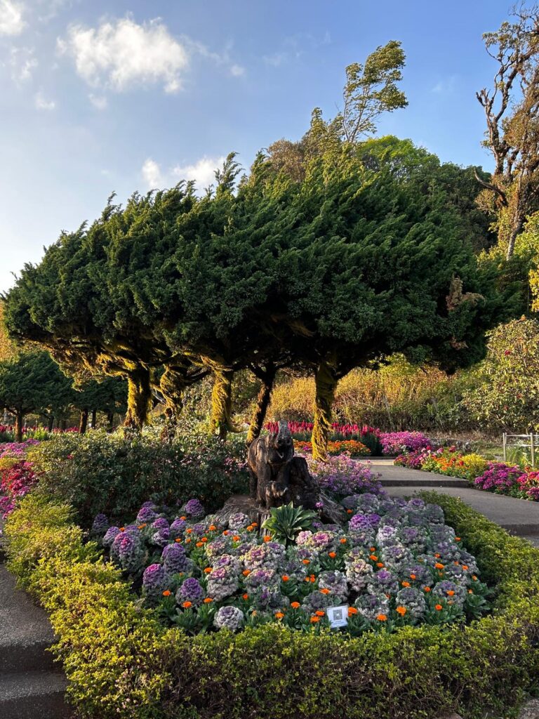 Beautiful garden at the Twin Pagodas suring Sunset at Doi Inthanon