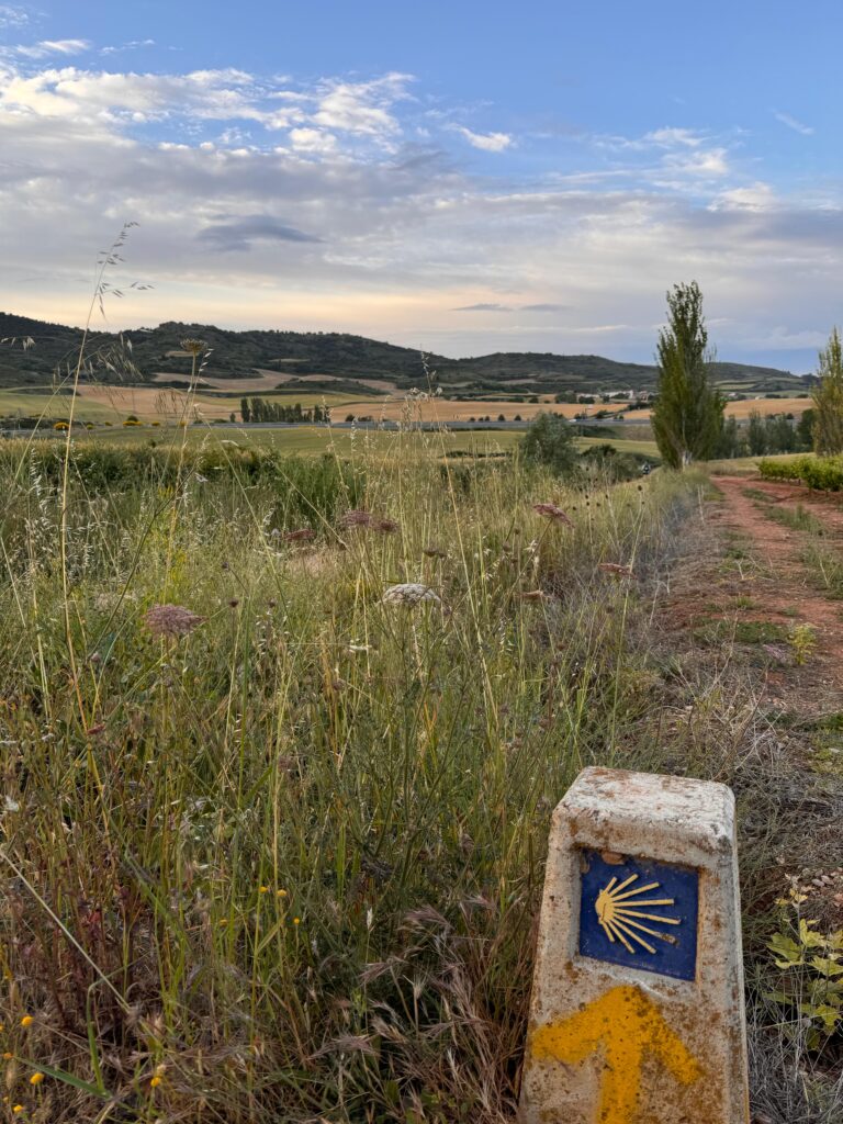 Yellow arrows and scallop shell signs marking the Camino de Santiago route, guiding pilgrims along the trail.