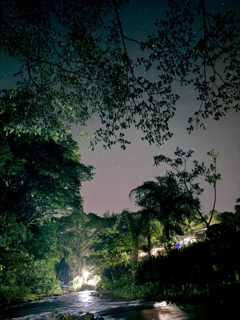 Night sky filled with stars above a river and forest in Chiang Dao, Thailand, with soft light illuminating trees and a nearby cabin.