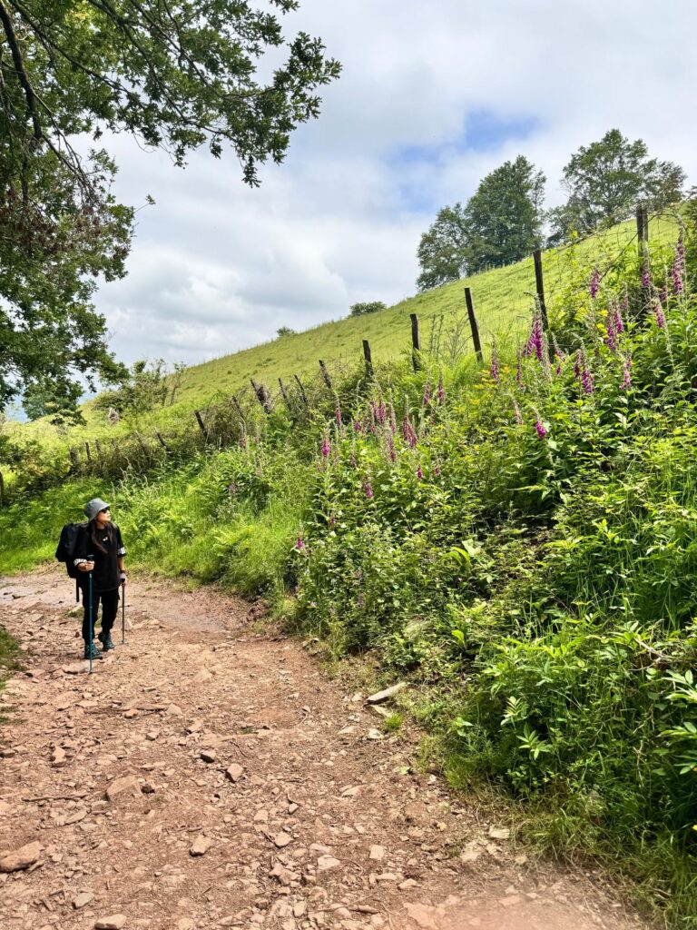 Pilgrims walking uphill on the Camino Frances just outside Saint-Jean-Pied-de-Port, surrounded by green hills.