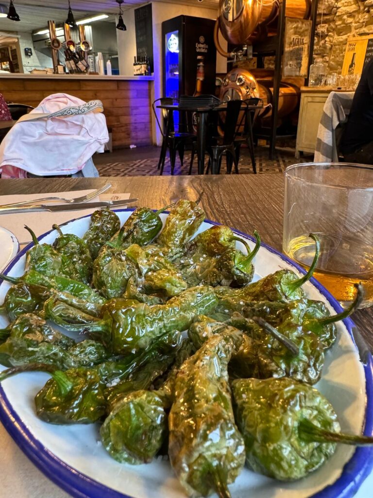 Blistered Padrón peppers served at La Droguería Bodega Jatetxea in Puente la Reina, Camino de Santiago