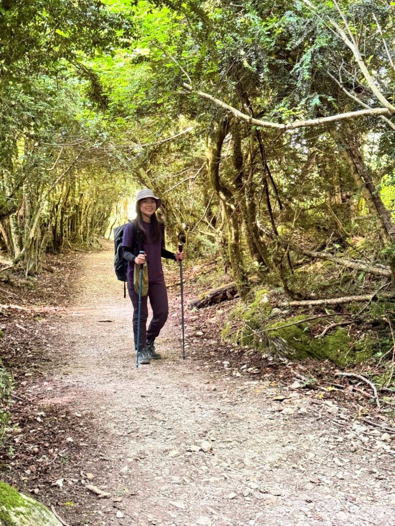Pilgrim walking through a shaded forest trail on the Camino de Santiago between Roncesvalles and Zubiri